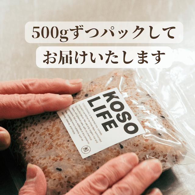 まずはお試し!長岡式酵素玄米2kg