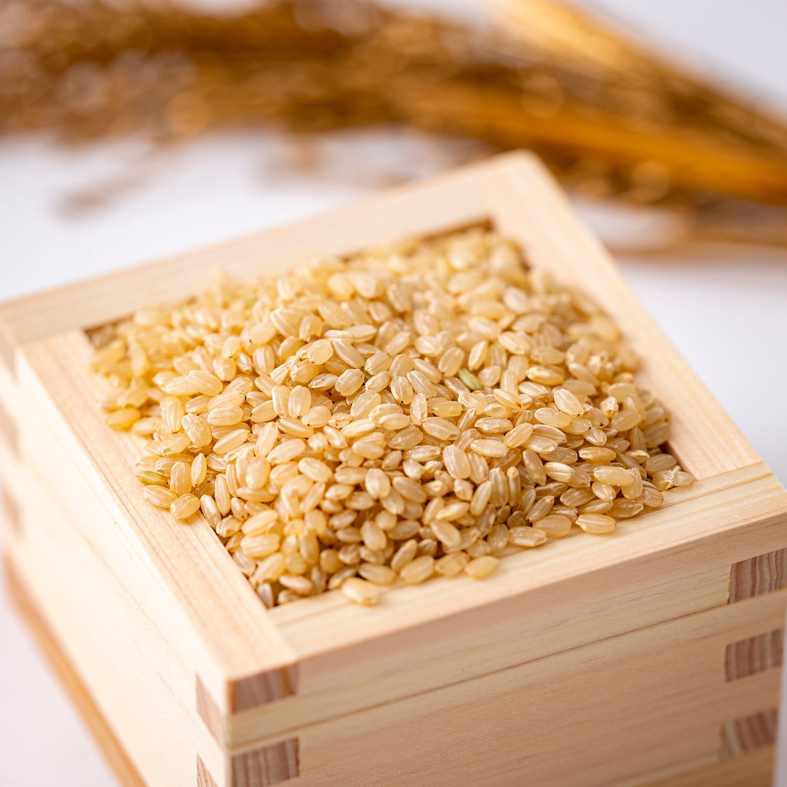 公式】KOSO LIFE｜長岡式酵素玄米おにぎり